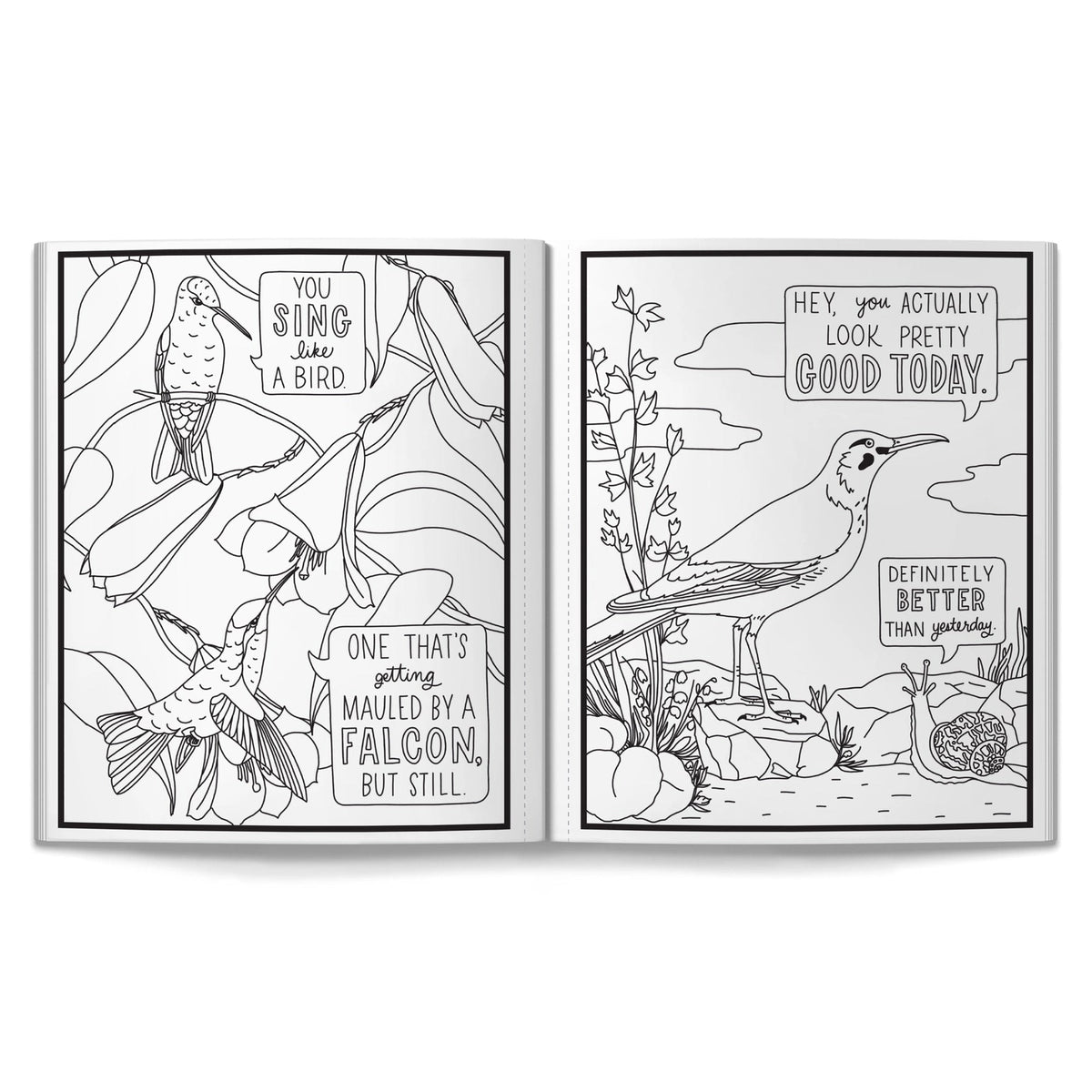 Adult Coloring Book | Salty Birds