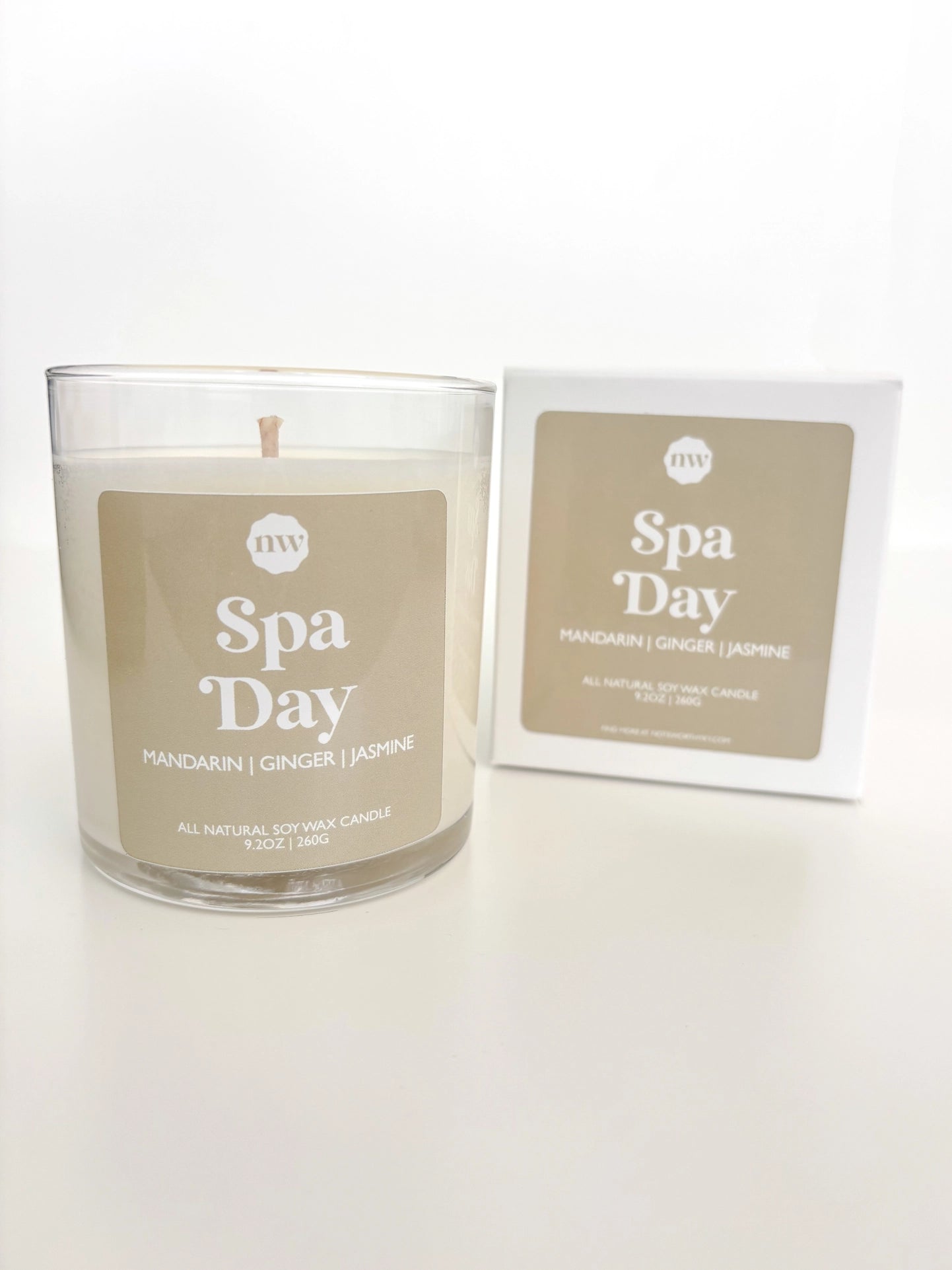 Single Wick Candle | Spa Day