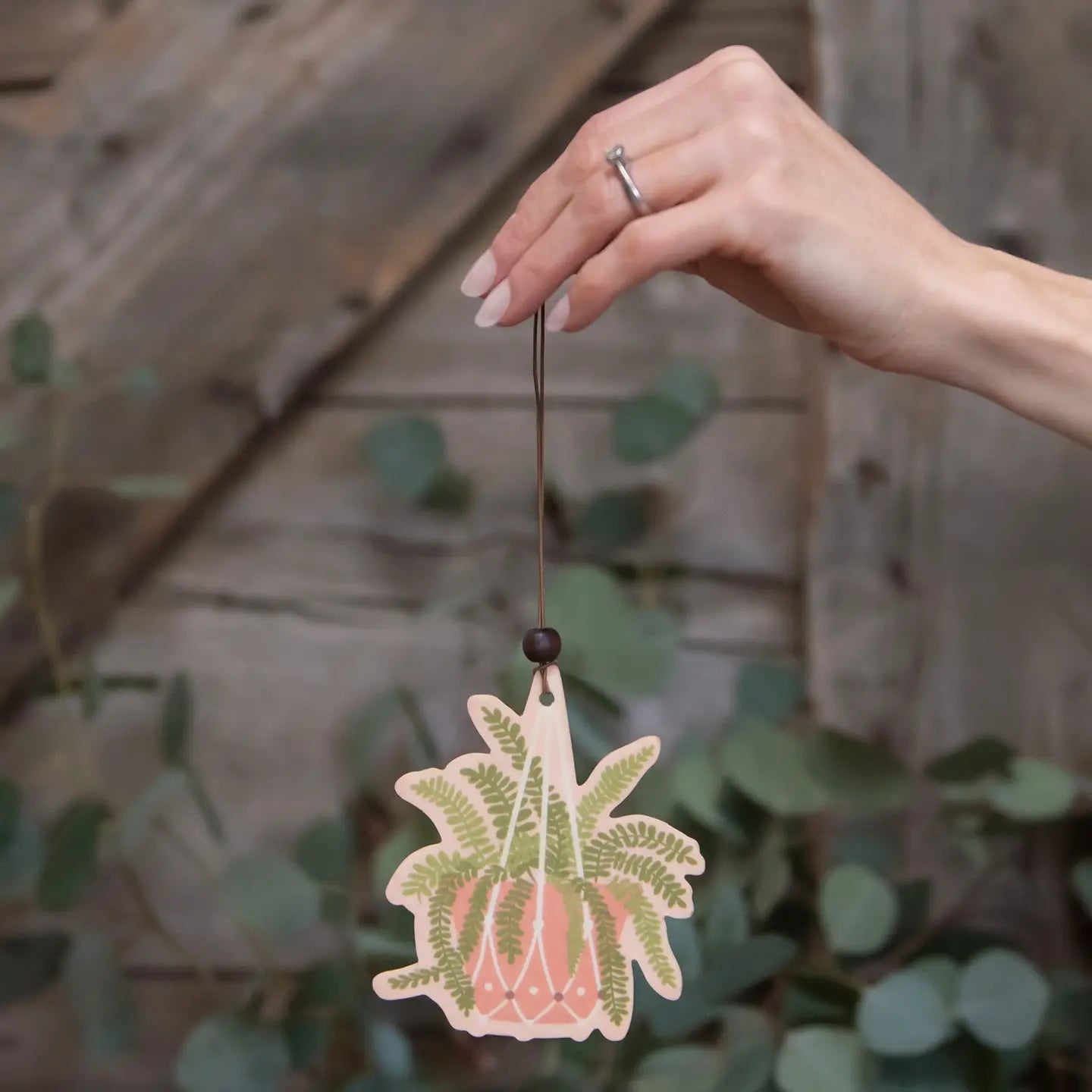 Car Air Freshener | Hanging Fern