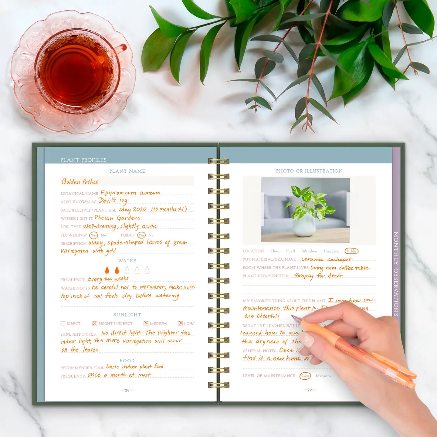 Houseplant Journal | Green Vibes Only