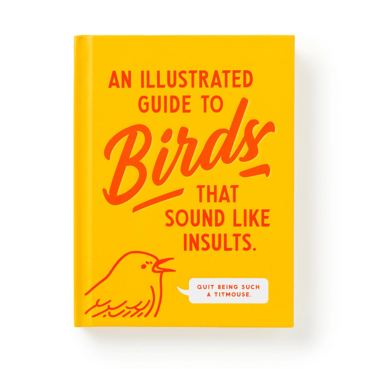 Illustrated Guide To Birds | Hard-Cover Book