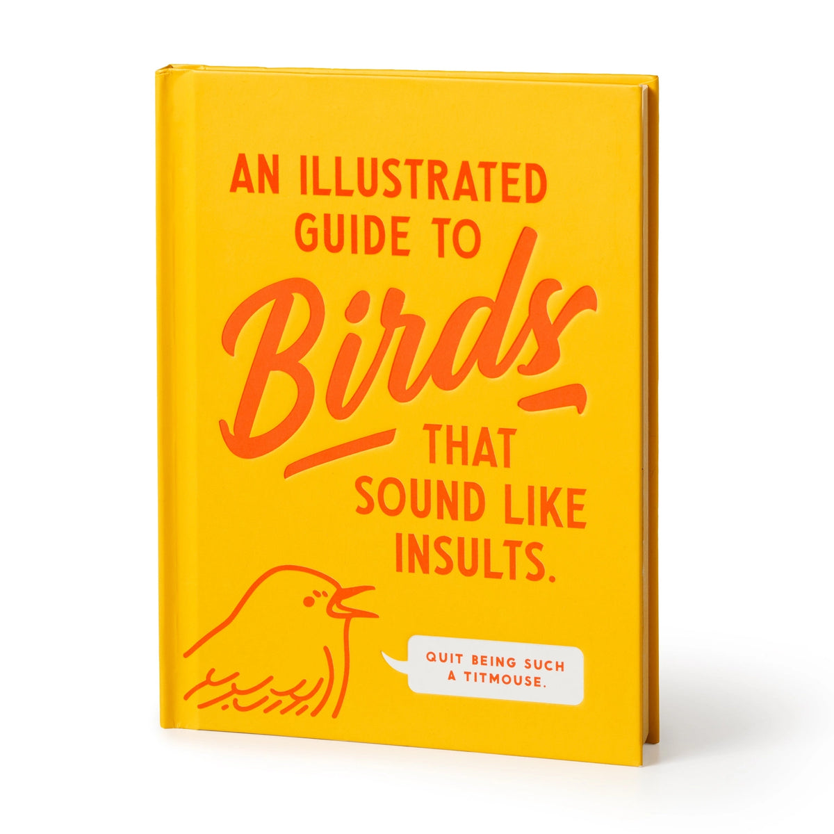 Illustrated Guide To Birds | Hard-Cover Book