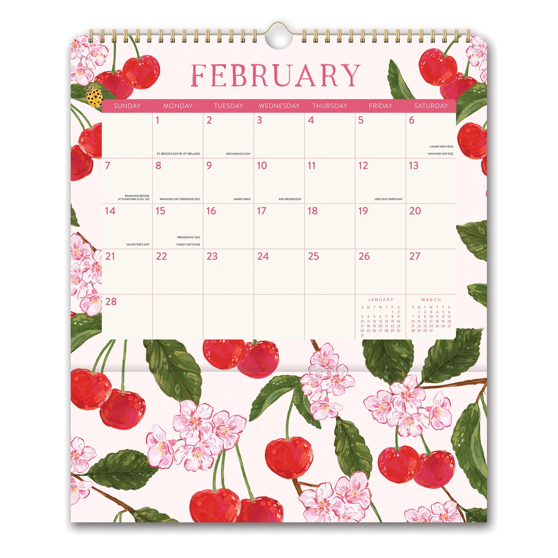2027 Wall Calendar | Fruits & Flora