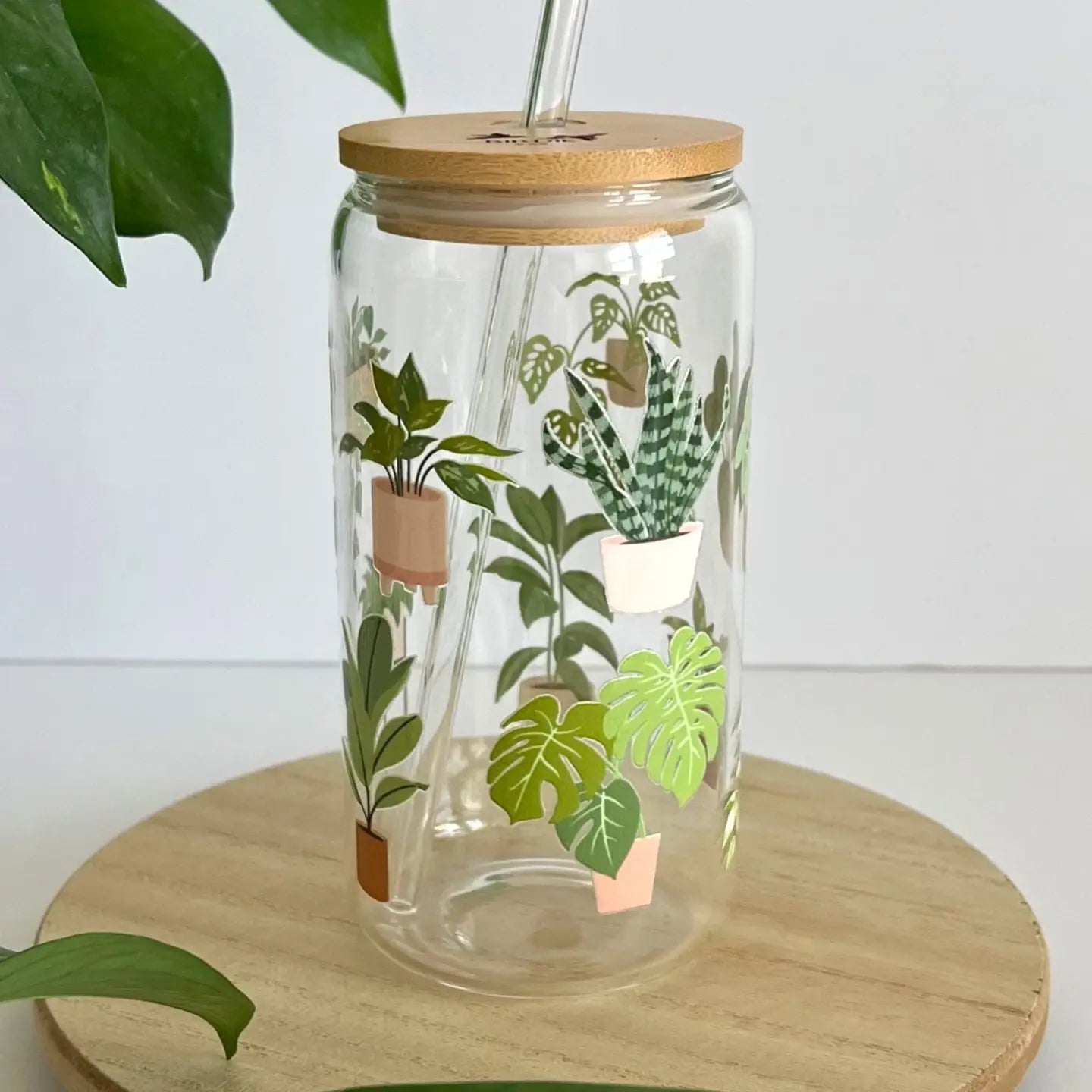 Glass Cup | Houseplants